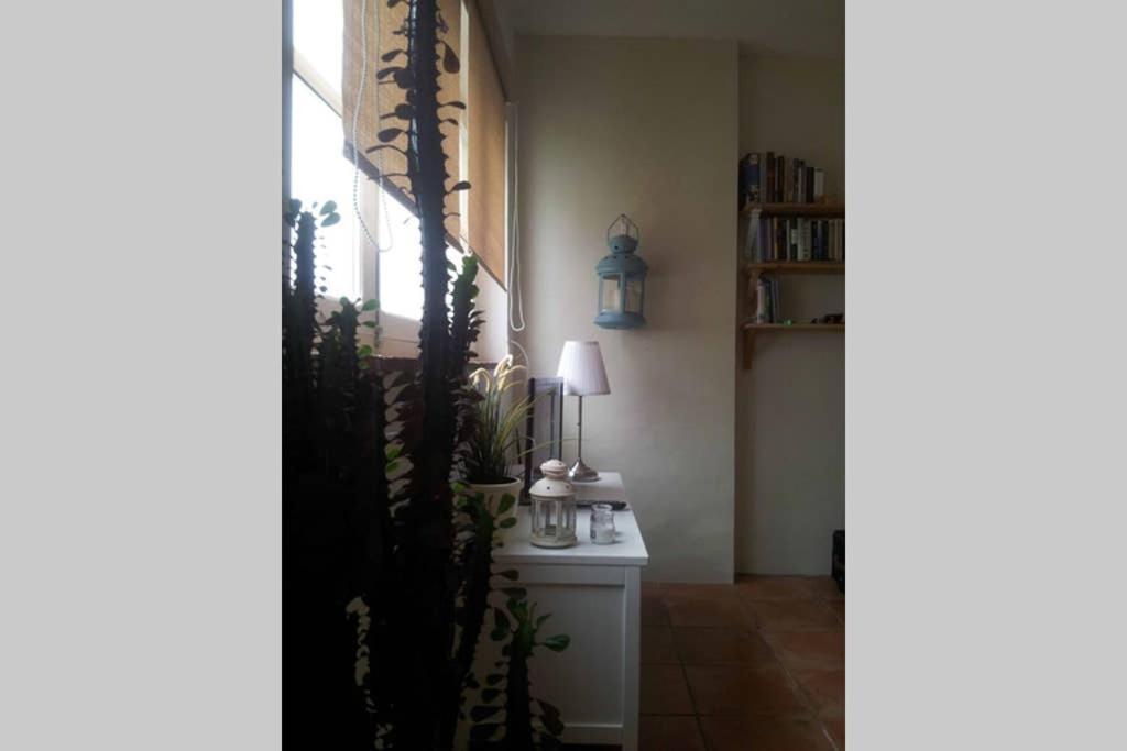 Apartamento Con Espectaculares Vistas! Tarifa Eksteriør billede