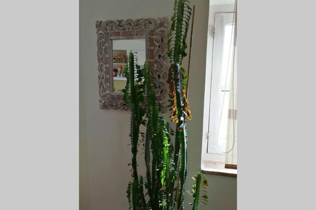 Apartamento Con Espectaculares Vistas! Tarifa Eksteriør billede